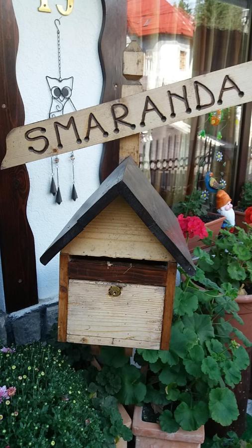 Vila Smaranda プレデアル エクステリア 写真